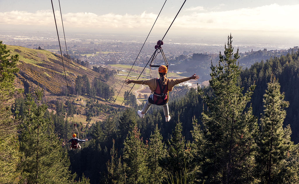 Two people travel down zip lines with arms outstretched as they pass above evergreen forests bathed in afternoon sun, in Christchurch Adventure Park, New Zealand